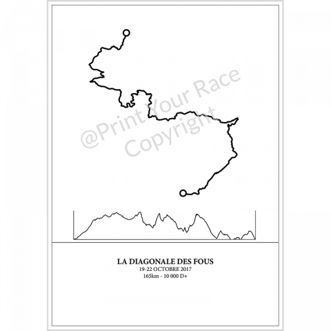 Affiche Diagonale des fous 2017 by Print Your Race